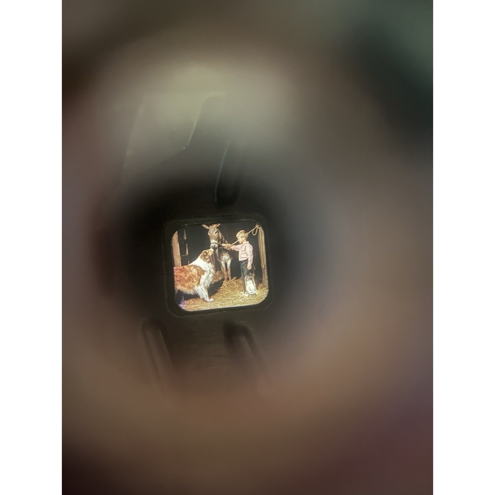 Vintage Sawyer's View-Master Viewer w/ Lassie & Timmy Reel "The Runaway Mule" - Picture 5 of 10